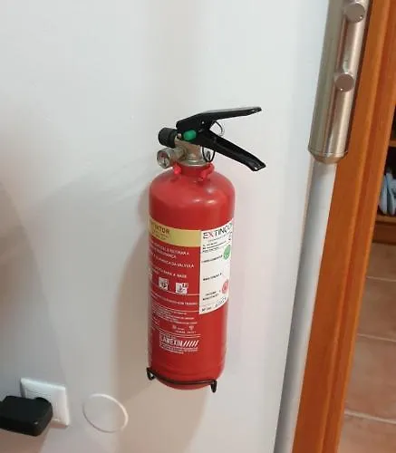 Caminhos Nos Levam Pela Ilha Ponta Delgada