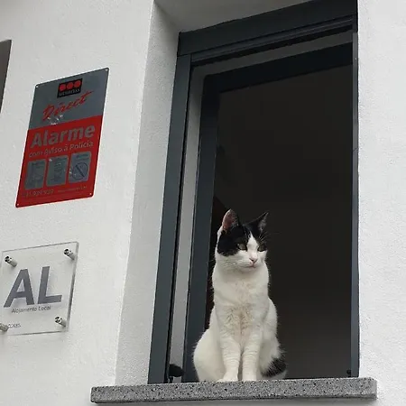 Caminhos Nos Levam Pela Ilha Апартаменты Понта-Делгада