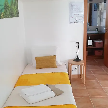 Caminhos Nos Levam Pela Ilha