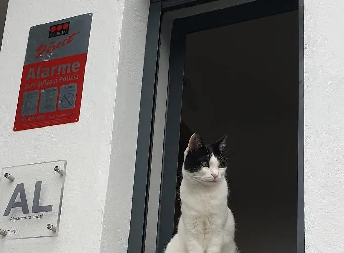 Caminhos Nos Levam Pela Ilha Apartmán Ponta Delgada